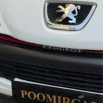 ورد پلیت جلو پژو 207 - Image 2